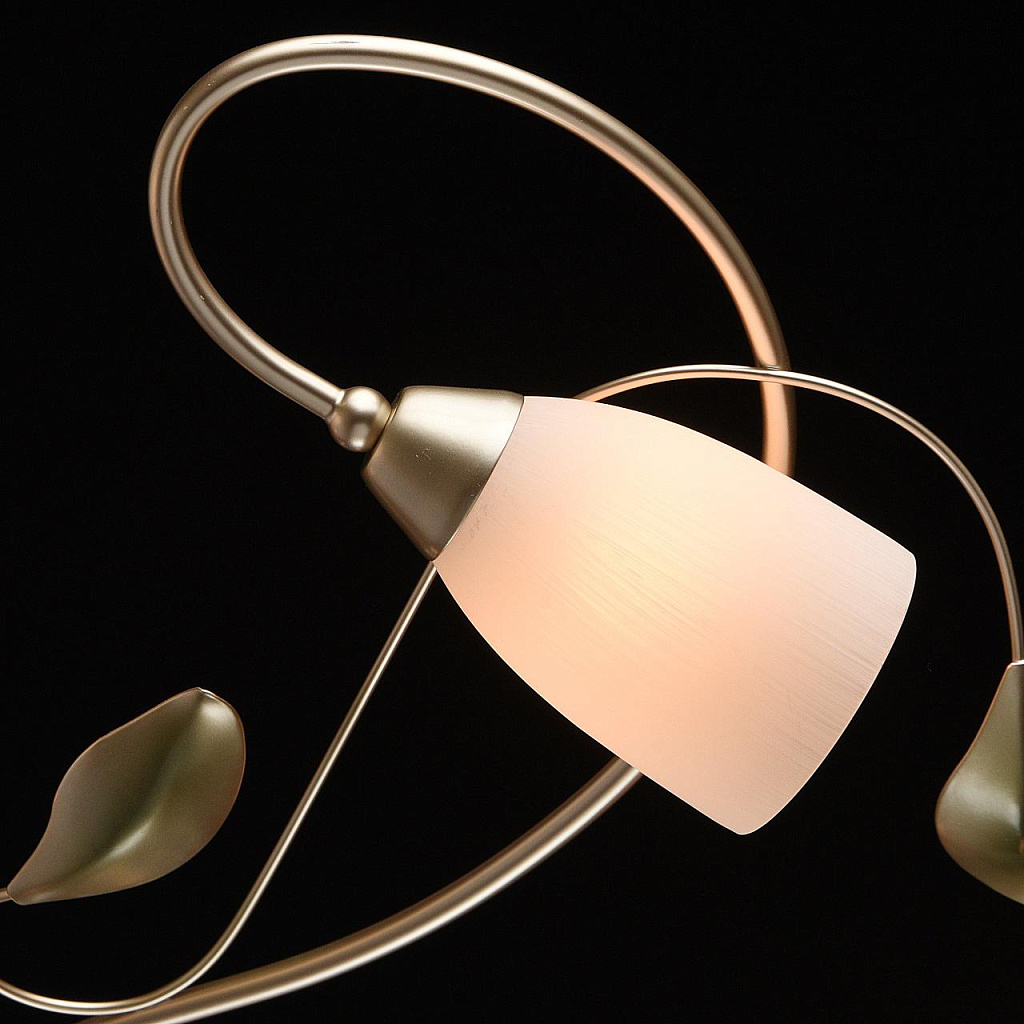 Люстра потолочная MW-Light Верона 334013006