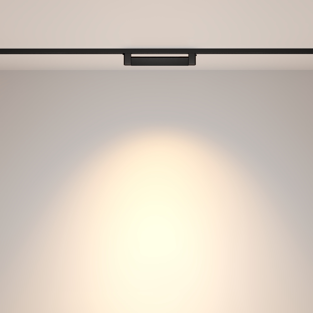 Светильник трековый Maytoni Points Rot TR010-1-10W3K-M-B