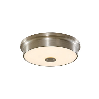 Светильник потолочный Citilux Фостер-2 CL706221