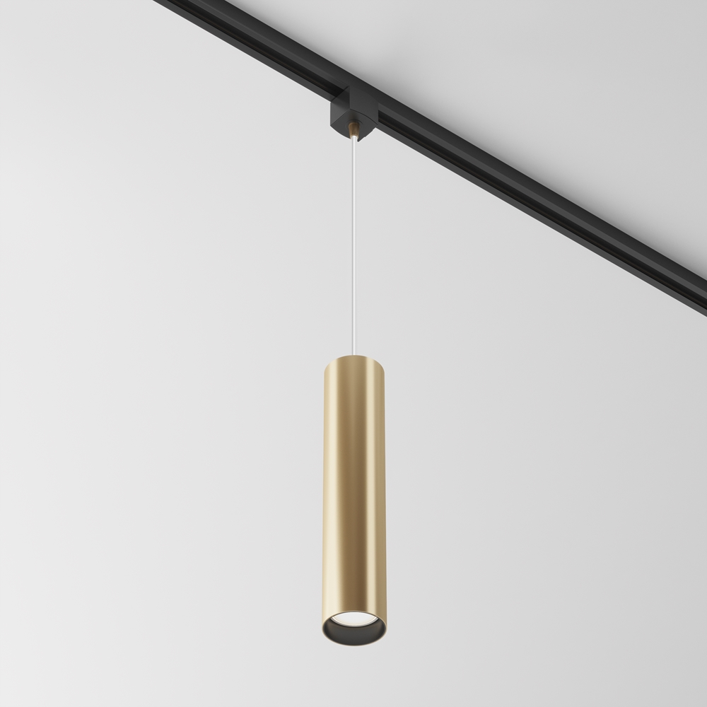 Трековый подвесной светильник Maytoni Focus TR025-1-GU10-MG