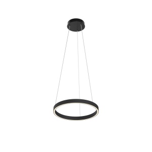 Подвесной светильник Maytoni MOD058PL-L22BK