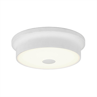 Светильник потолочный Citilux Фостер-2 CL706210