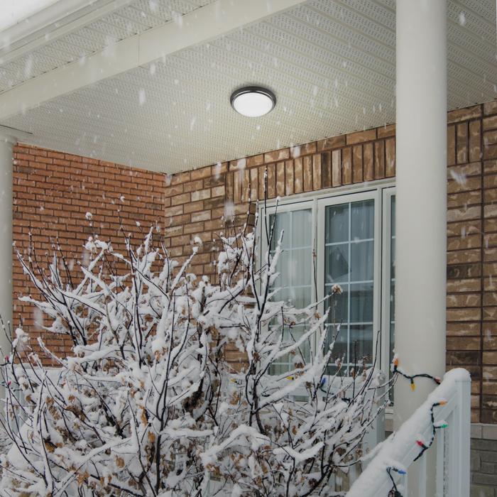 Светильник уличный потолочный Novotech Opal 357505