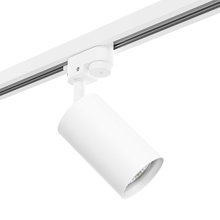 Светильник с комплектом Lightstar Rullo R1T436