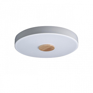 Светильник потолочный Loft it Axel 10003/24 White