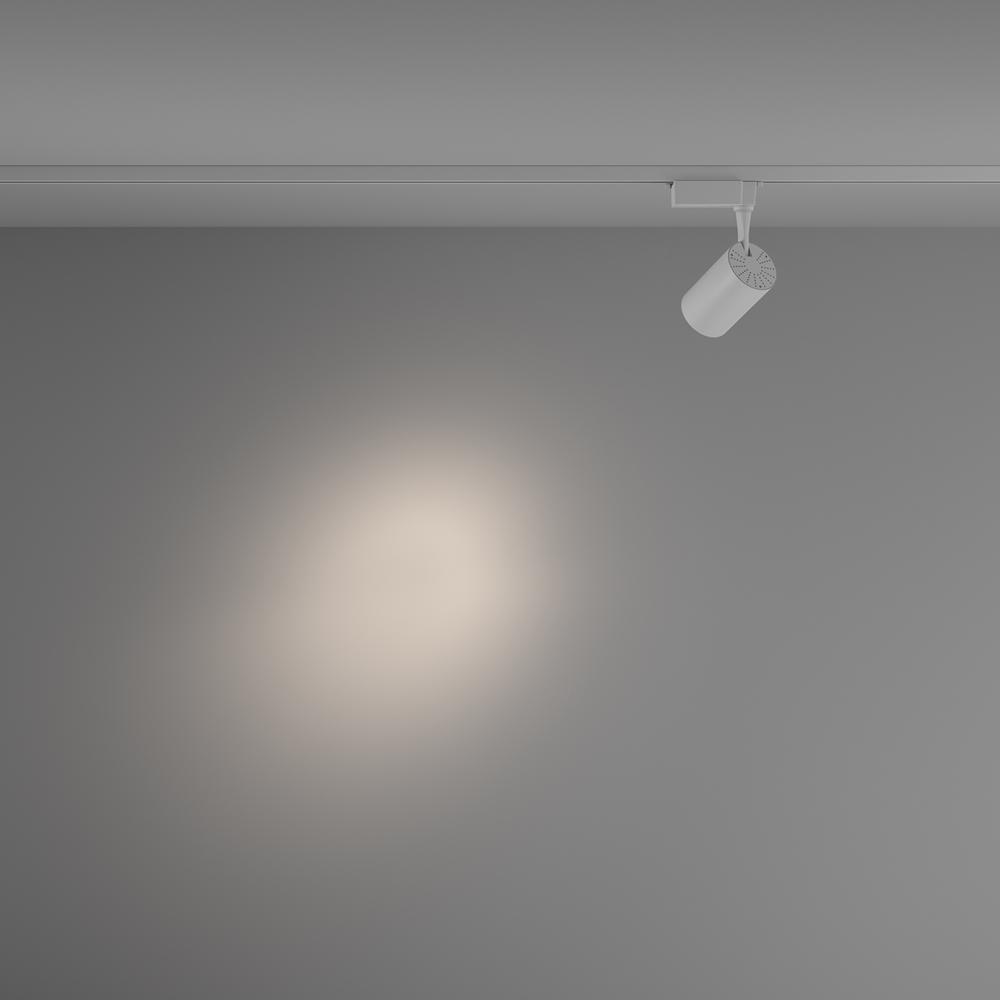 Светильник трековый Maytoni Vuoro TR003-1-10W4K-S-W