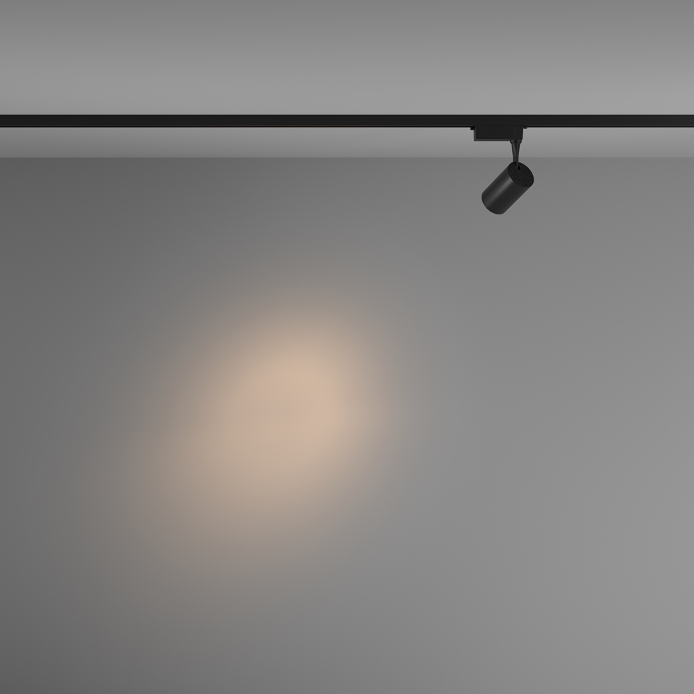 Светильник трековый Maytoni Vuoro TR003-1-6W3K-S-B