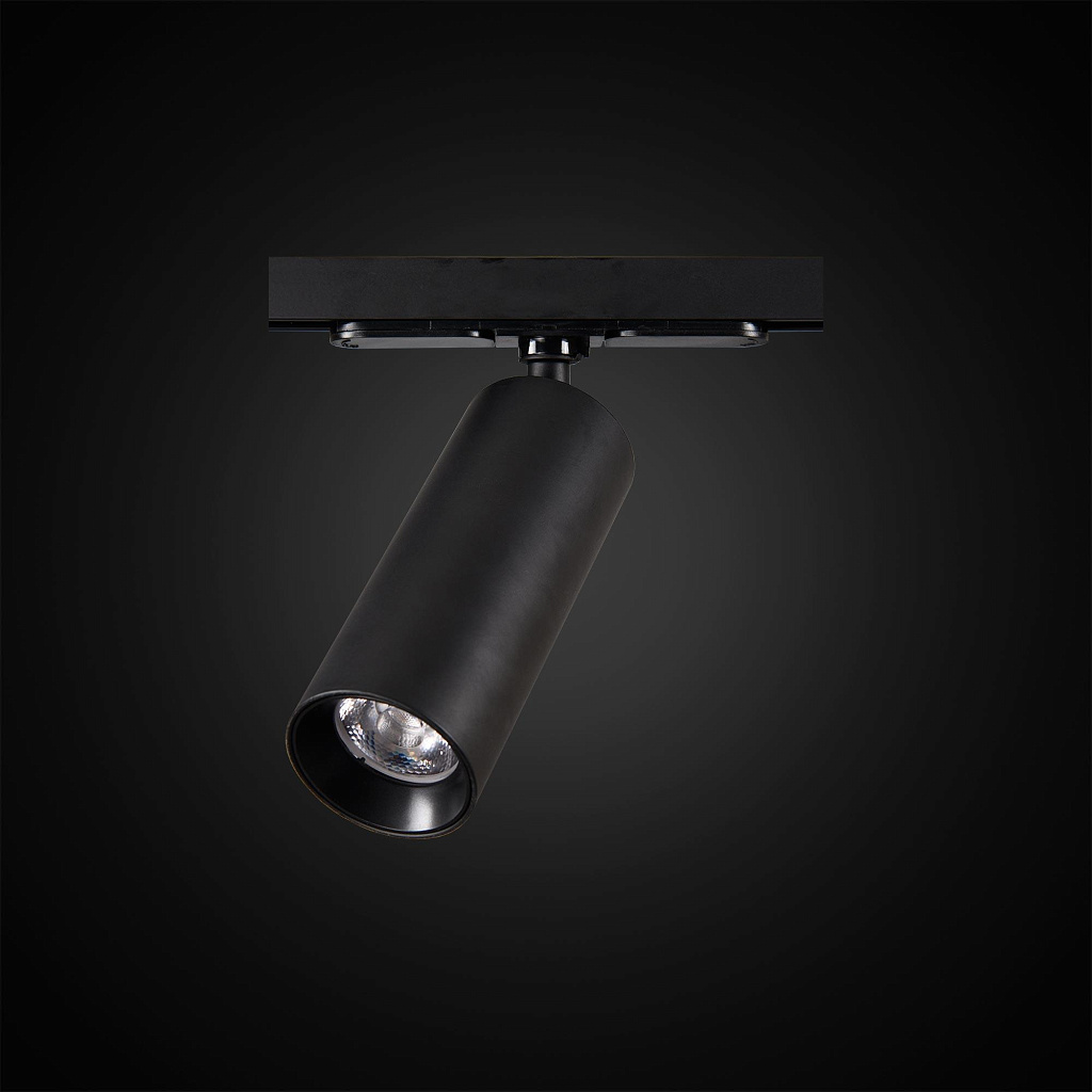 Светильник трековый Citilux Тубус CL01T121
