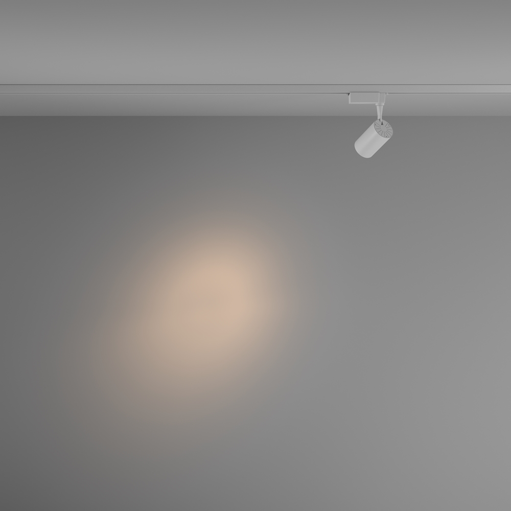 Светильник трековый Maytoni Vuoro TR003-1-6W3K-S-W