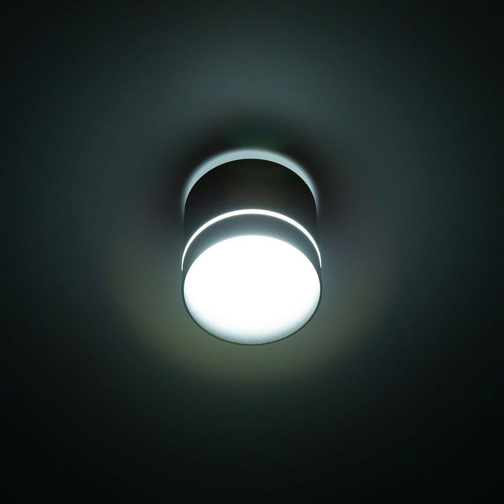 Светильник накладной Citilux Борн CL745021N