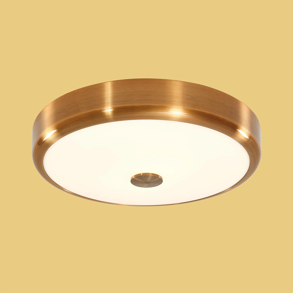 Светильник потолочный Citilux Фостер-1 CL706132