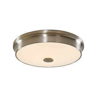 Светильник потолочный Citilux Фостер-2 CL706231