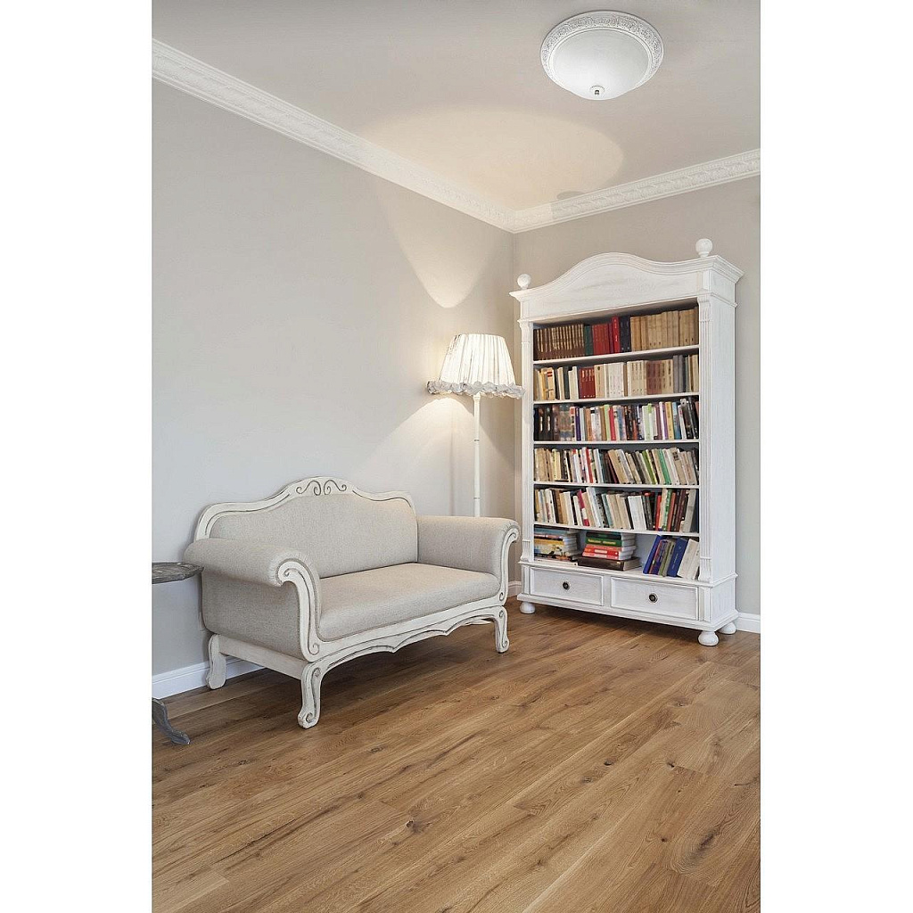 Светильник потолочный MW-Light Ариадна 450013703