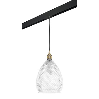 Светильник с комплектом Lightstar Genni PRO798021