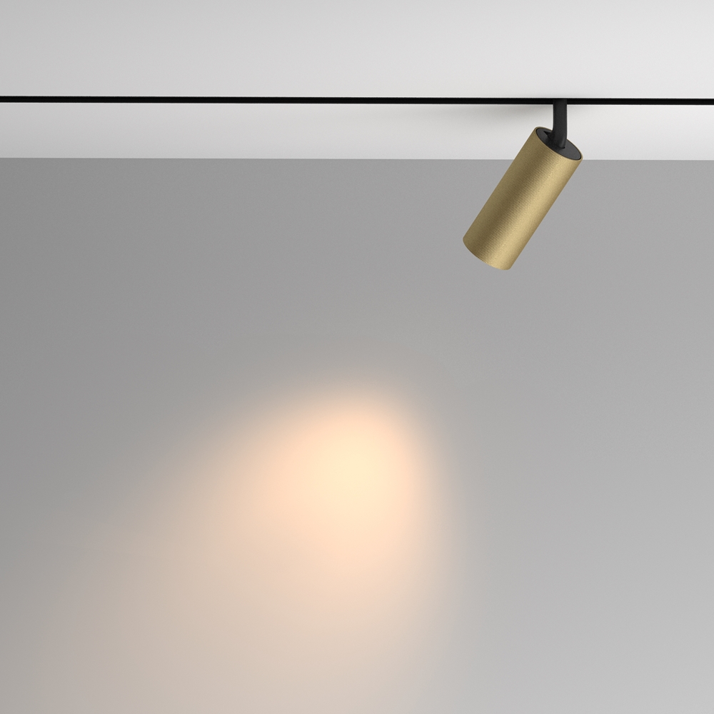 Светильник трековый магнитный Maytoni Artisan TR097-2-12W3K-M-BMG