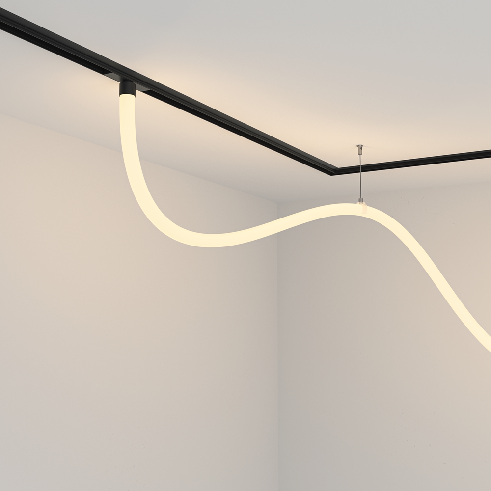 Светильник трековый магнитный подвесной Maytoni Tau TR101-2-50W3K-B