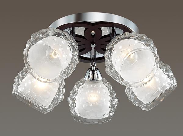 Люстра потолочная Lumion Federro 3058/5C