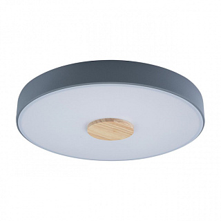 Светильник потолочный Loft it Axel 10003/24 Grey