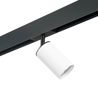 Светильник с комплектом для трека Lightstar Rullo PRO436