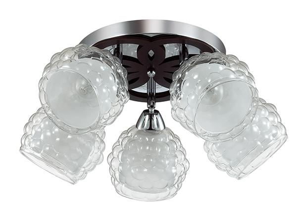 Люстра потолочная Lumion Federro 3058/5C