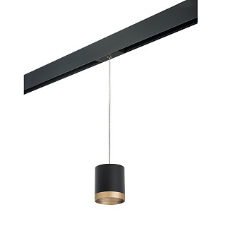 Светильник с комплектом для трека Lightstar Rullo PRORP348790