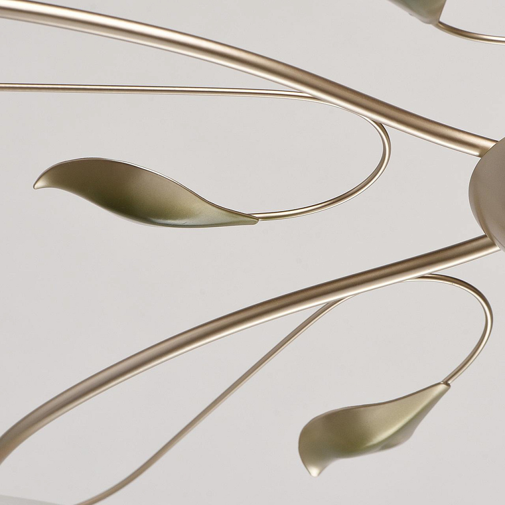 Люстра потолочная MW-Light Верона 334013006