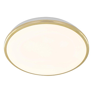 Светильник потолочный Citilux Луна CL702302W