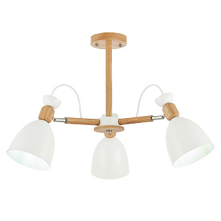 Светильник потолочный Evoluce Balcamo SLE103802-03