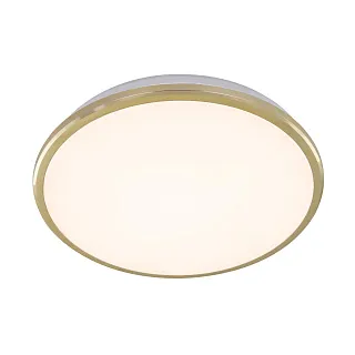 Светильник потолочный Citilux Луна CL702222W