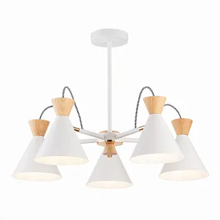 Светильник потолочный Evoluce Modica SLE125102-05