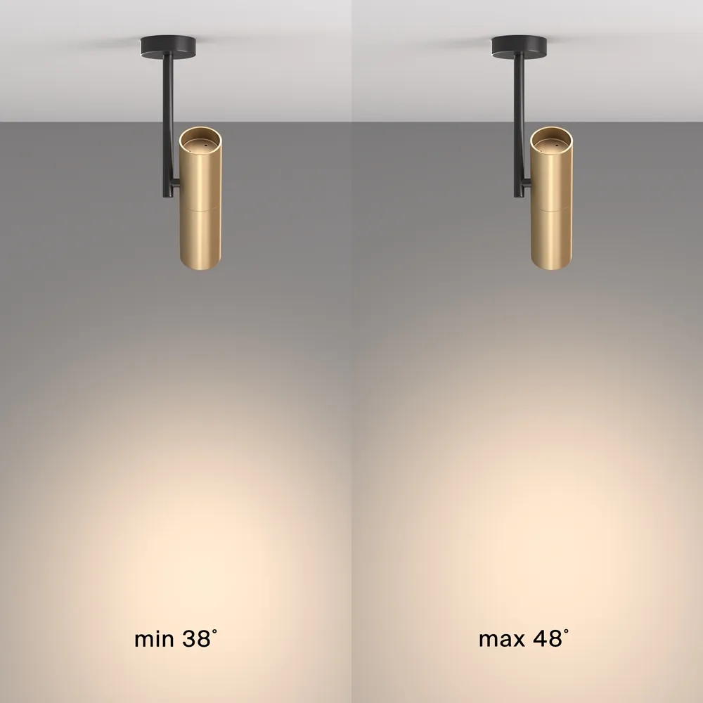 Светильник потолочный Maytoni Elti C020CL-01GB