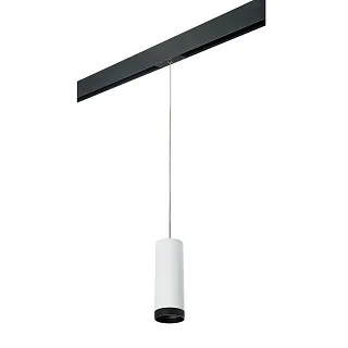 Светильник с комплектом для трека Lightstar Rullo PRORP4863437