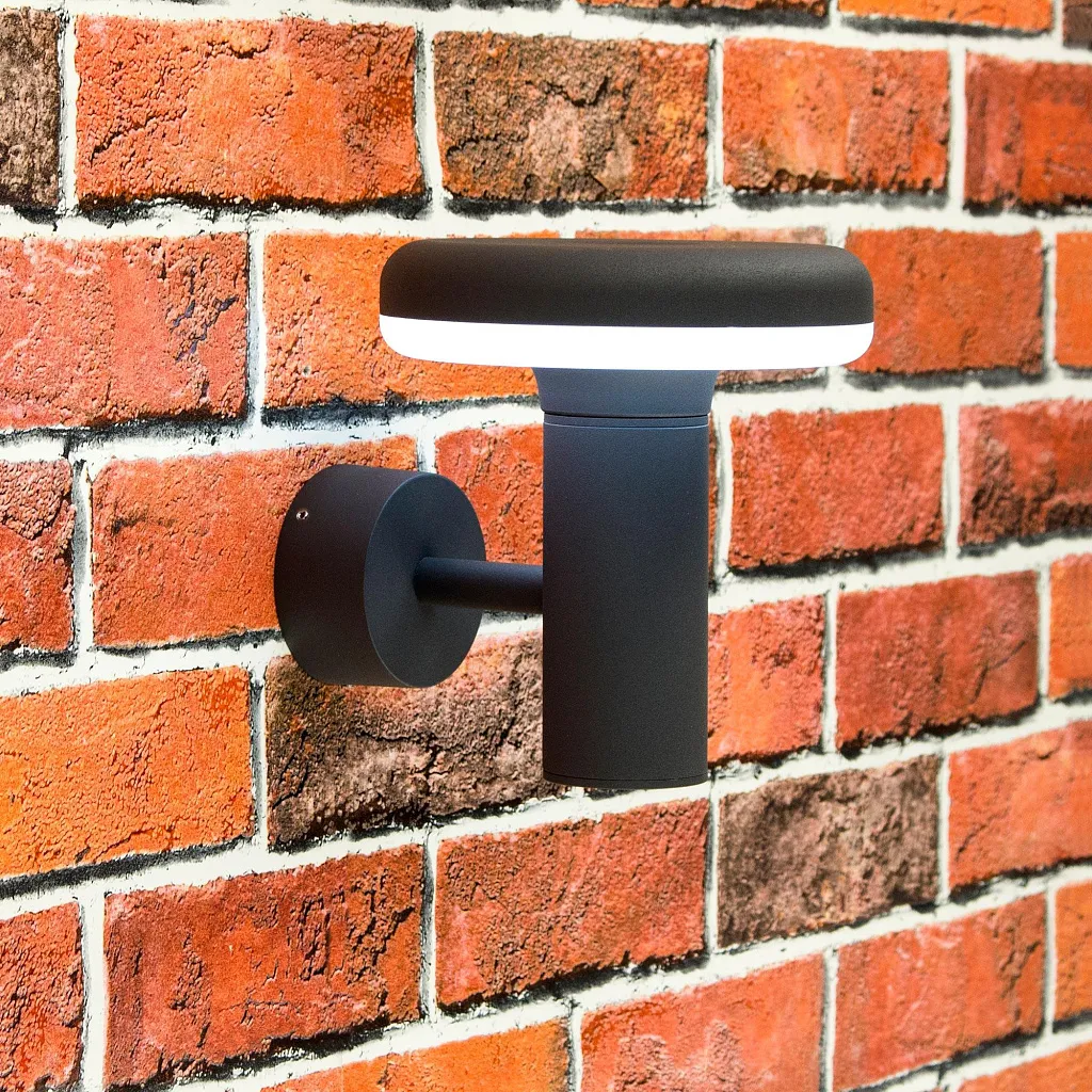 Светильник уличный настенный Citilux Улица CLU01W