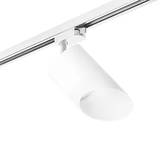 Светильник с комплектом Lightstar Rullo R1T348686