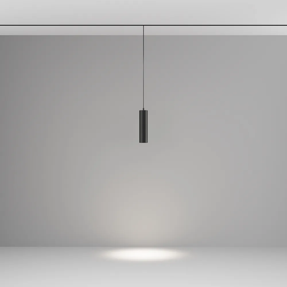 Трековый подвесной светильник Technical TR041-4-12W3K-M-DS-B