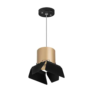 Светильник с комплектом Lightstar Rullo RP3490487