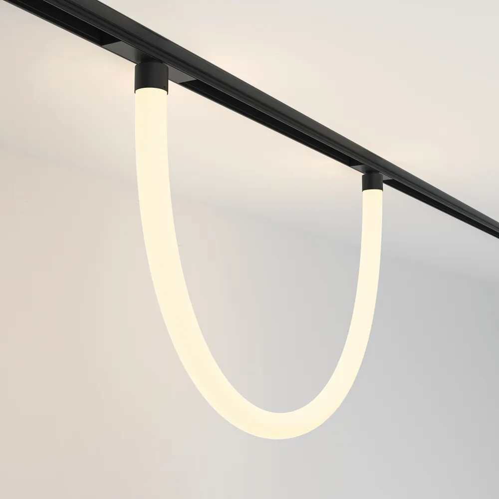 Светильник трековый магнитный подвесной Maytoni Tau TR101-2-20W3K-B