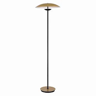 Торшер ST-Luce Armonico SL6502.205.01