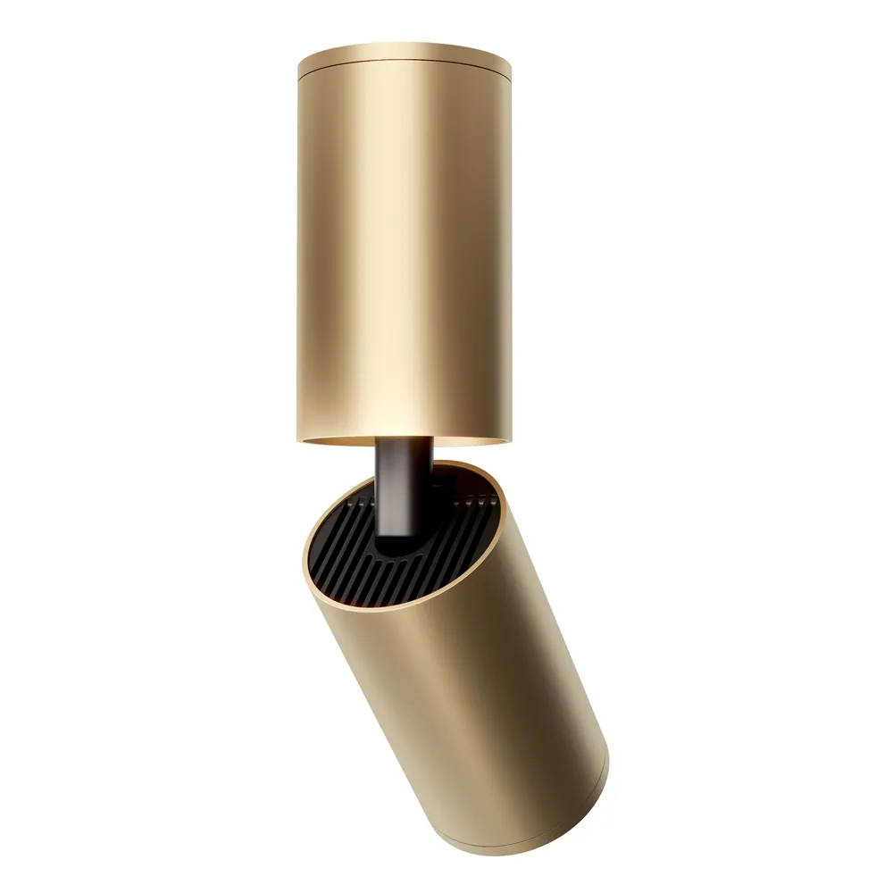 Светильник потолочный Maytoni Focus S C051CL-01G