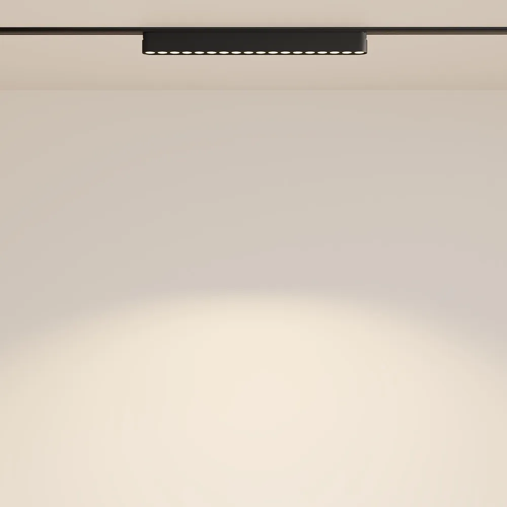 Светильник трековый магнитный Maytoni Points TR082-1-18W3K-M-B