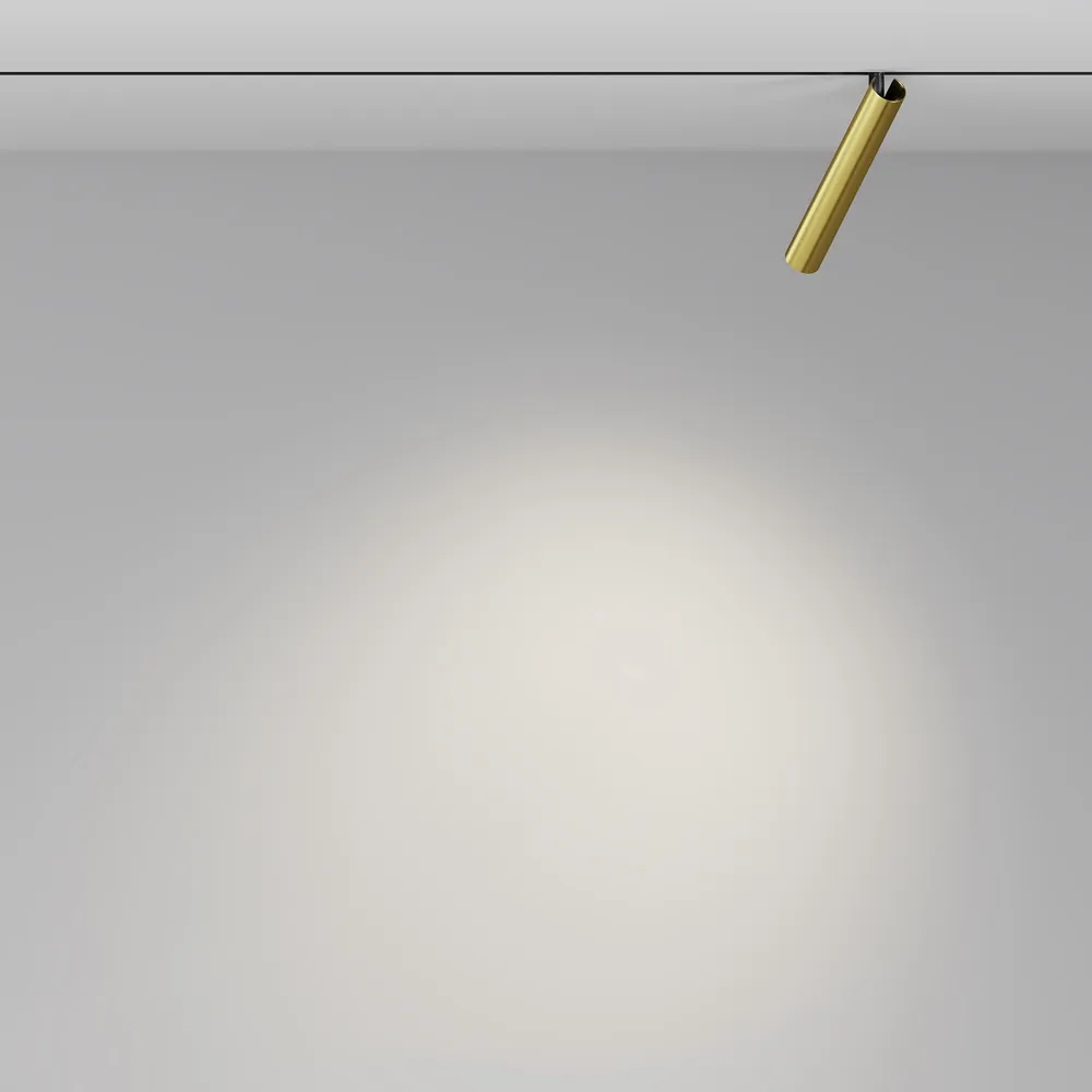 Светильник трековый магнитный Maytoni Focus T TR141-2-6W4K-M-BS