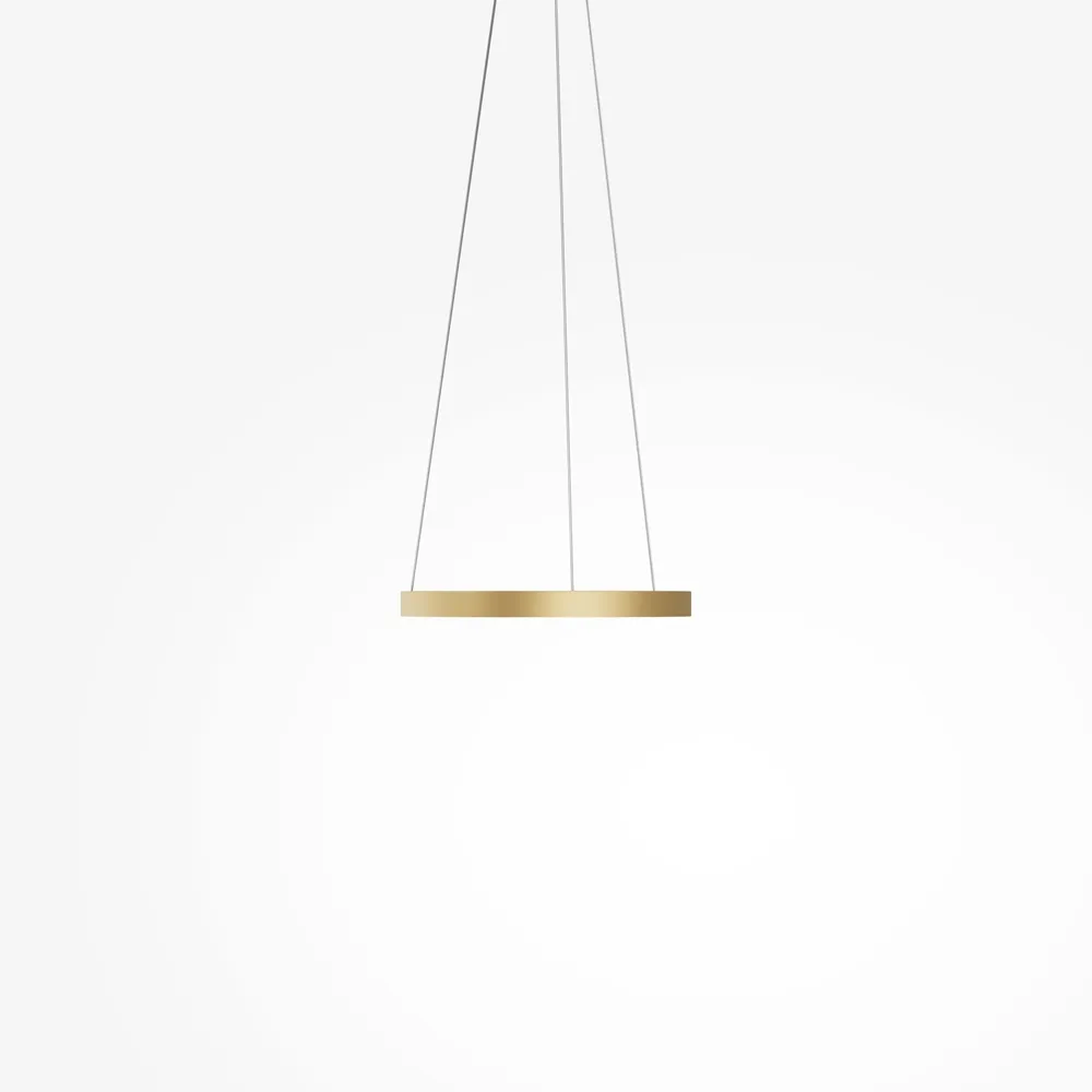 Подвесной светильник Maytoni MOD058PL-L22BSK