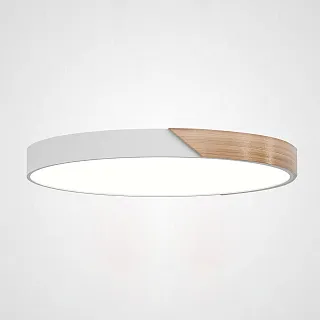 Светильник потолочный ImperiumLoft Clip01 193049-26