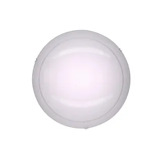 Светильник настенно-потолочный Citilux Лайн CL918081