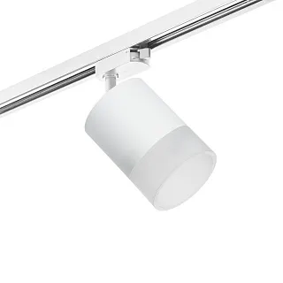 Светильник с комплектом Lightstar Rullo R1T348681