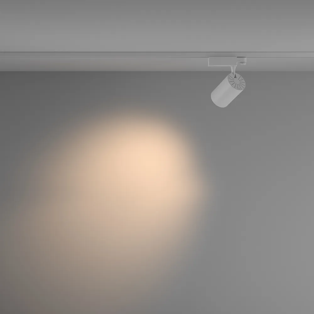 Светильник трековый Maytoni Vuoro TR029-3-20W3K-M-W