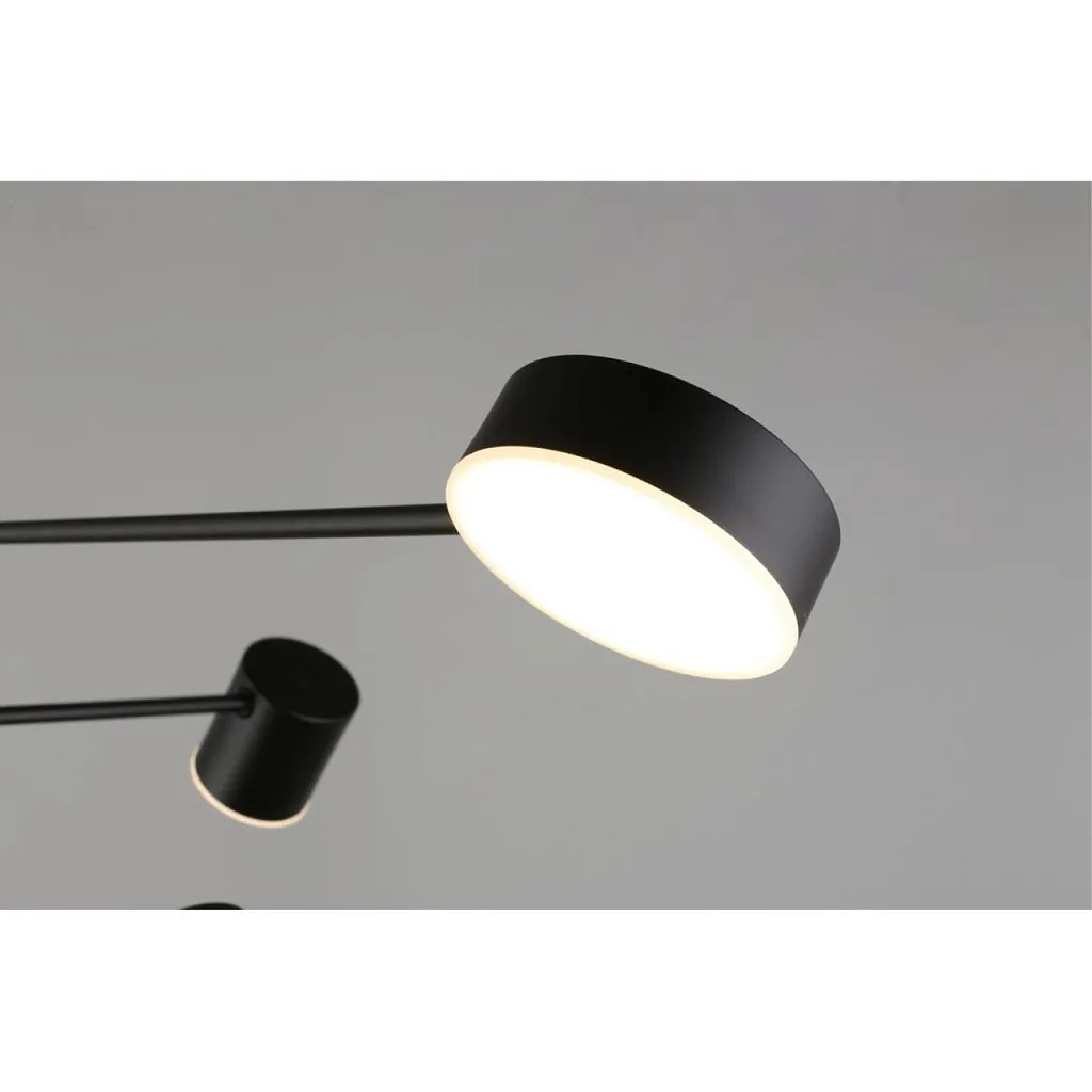 Люстра потолочная Aployt Frania APL.017.07.48