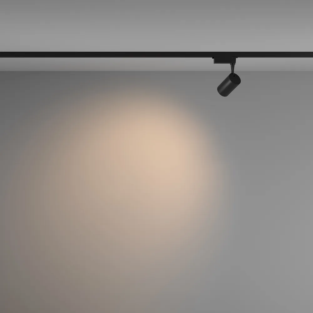 Светильник трековый Maytoni Vuoro TR003-1-6W3K-W-B