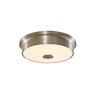 Светильник потолочный Citilux Фостер-2 CL706221