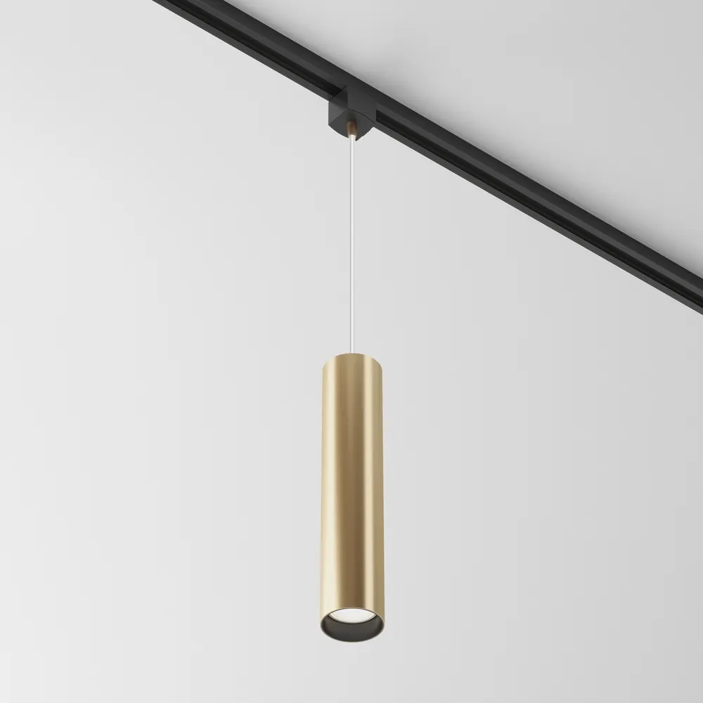Трековый подвесной светильник Maytoni Focus TR025-1-GU10-MG